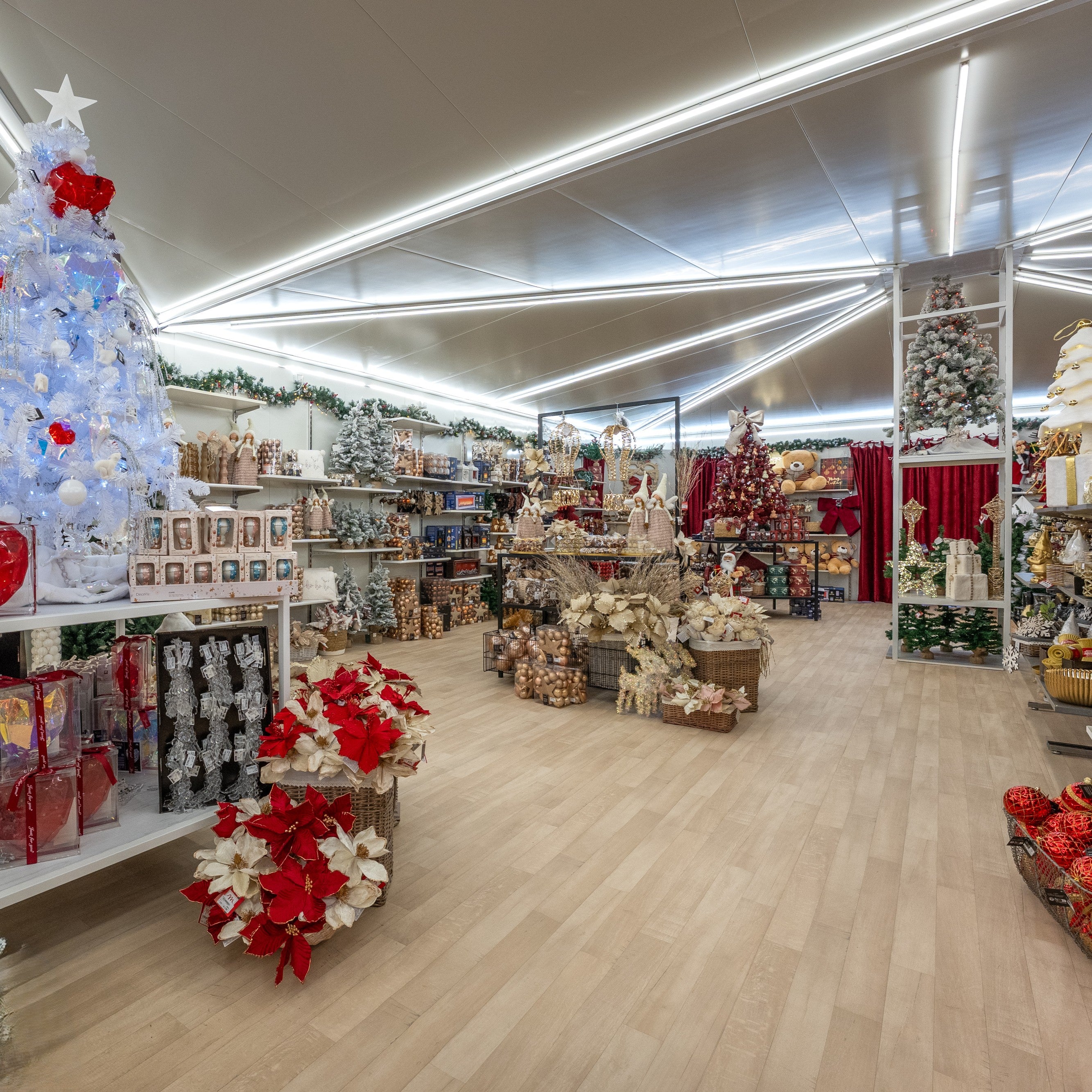 Christmas Sales Box - Tavola | €19,90