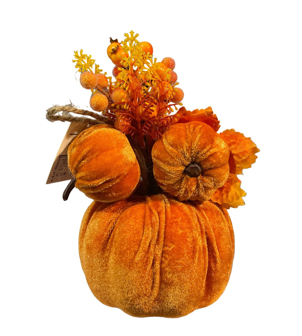 Composizione con zucca-123133