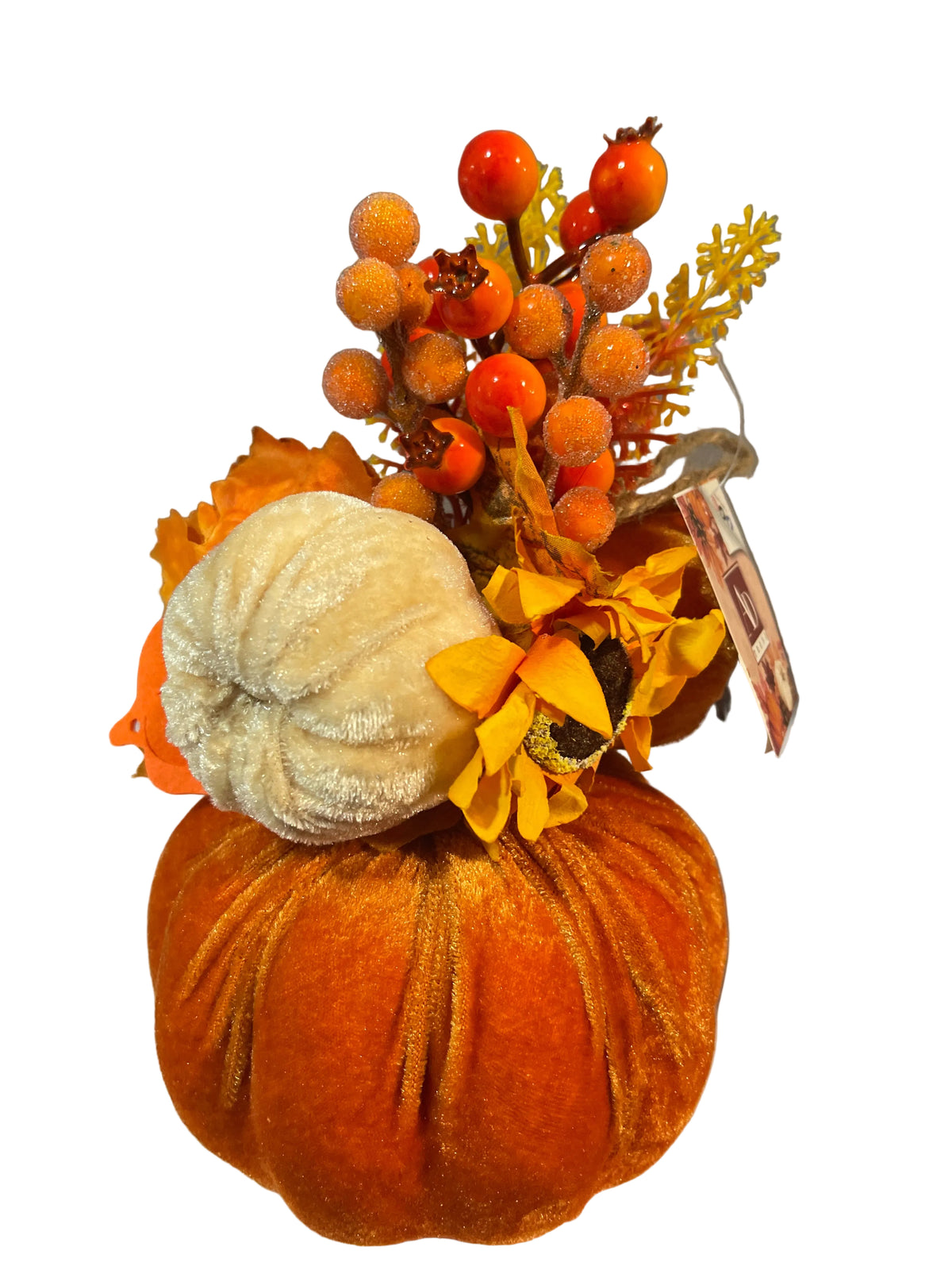 Composizione con zucca-123133