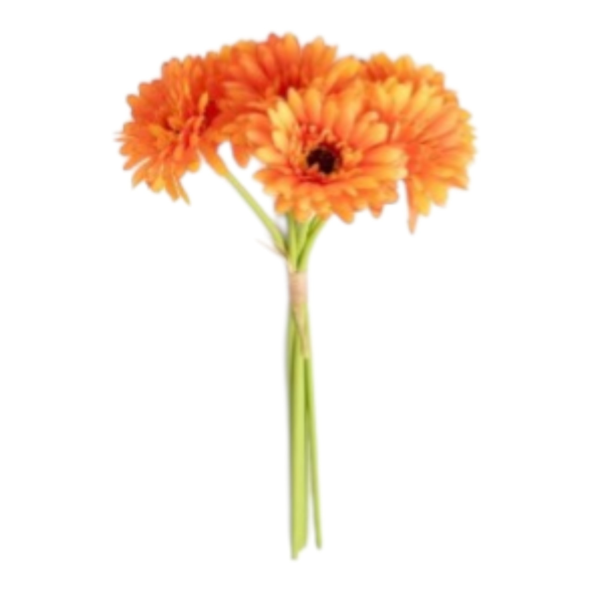 Gerbere arancioni 6 pz - 23929