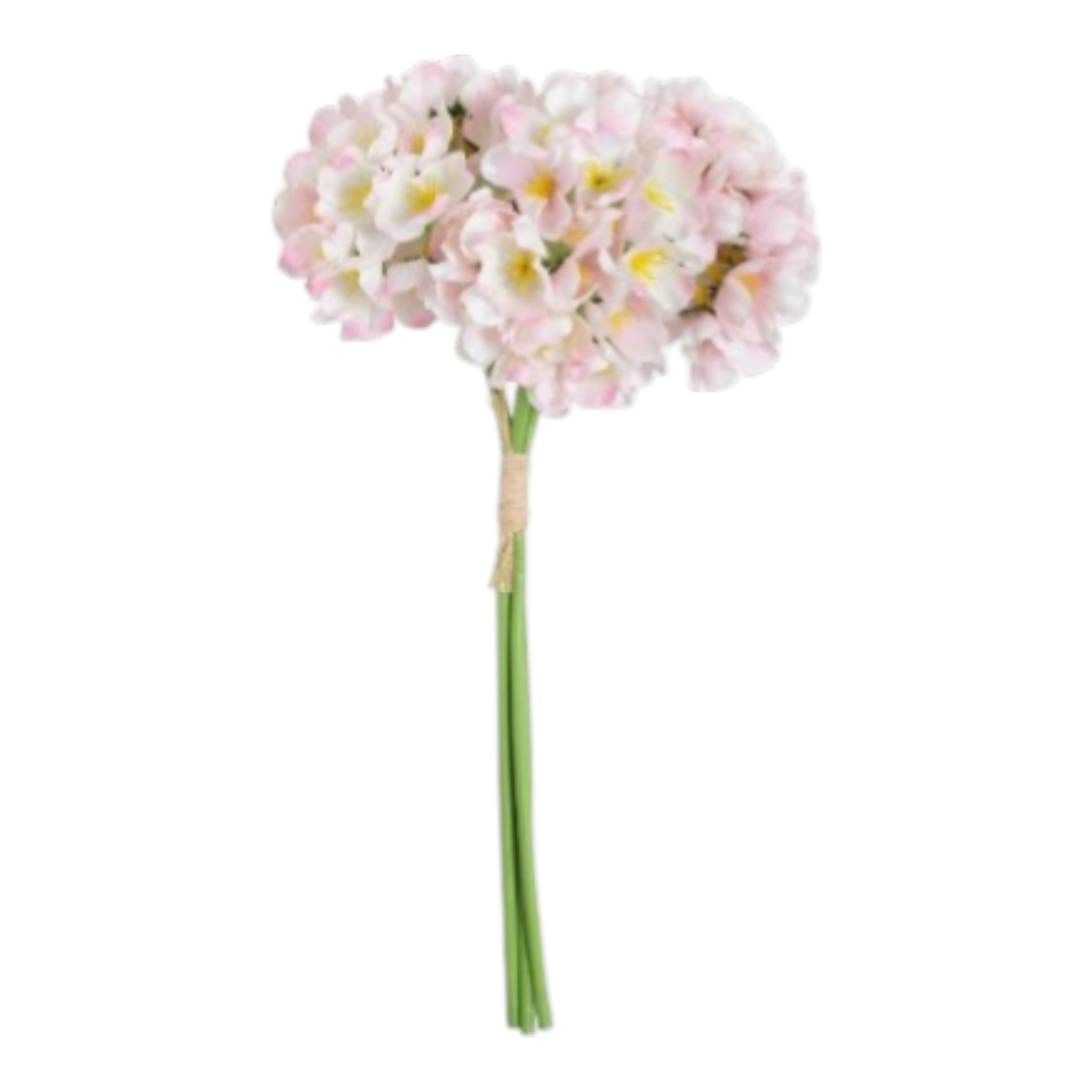 Ortensie rosa 3 pz - 36646