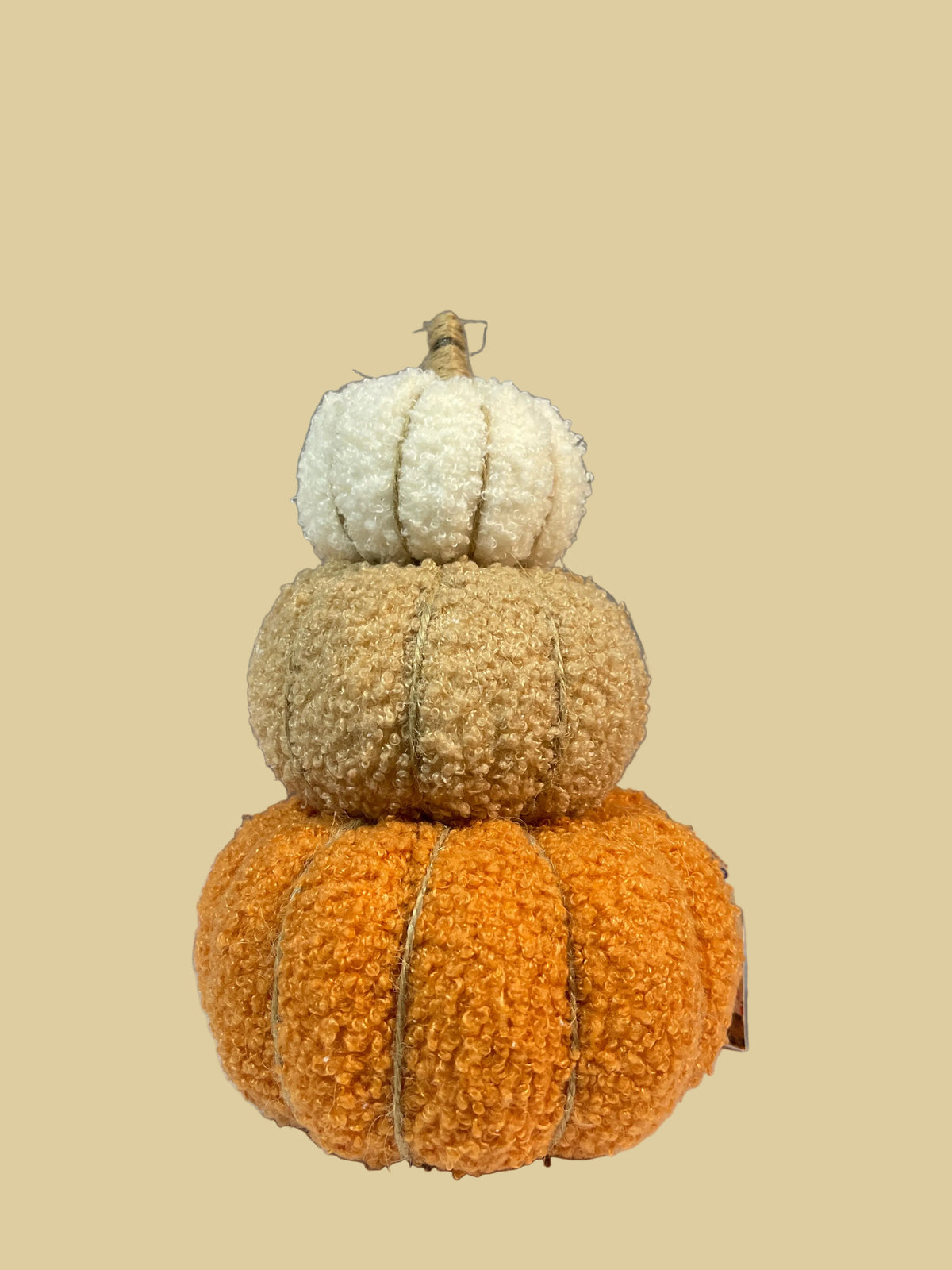 Decorazione zucche-125243