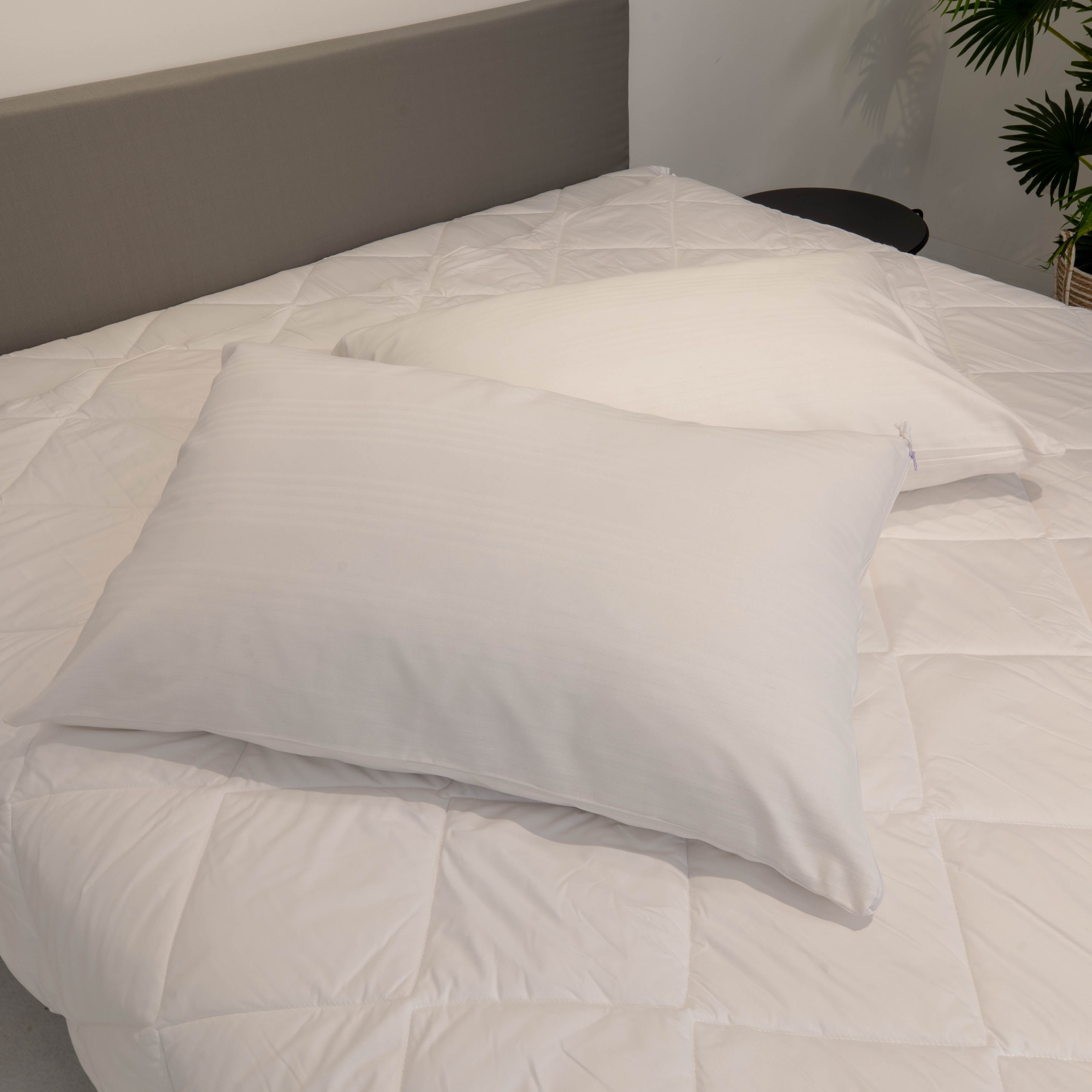 Coppia copriguanciale raso - Night Living